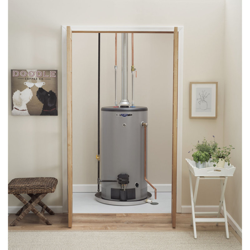 GE Appliances Realmax 50 Gallon Natural Gas Storage Tank Water Heater & Reviews Wayfair